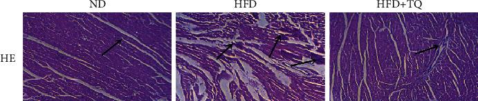 https://cdn.ncbi.nlm.nih.gov/pmc/blobs/4295/7644313/db3513631812/BMRI2020-4878704.001.jpg