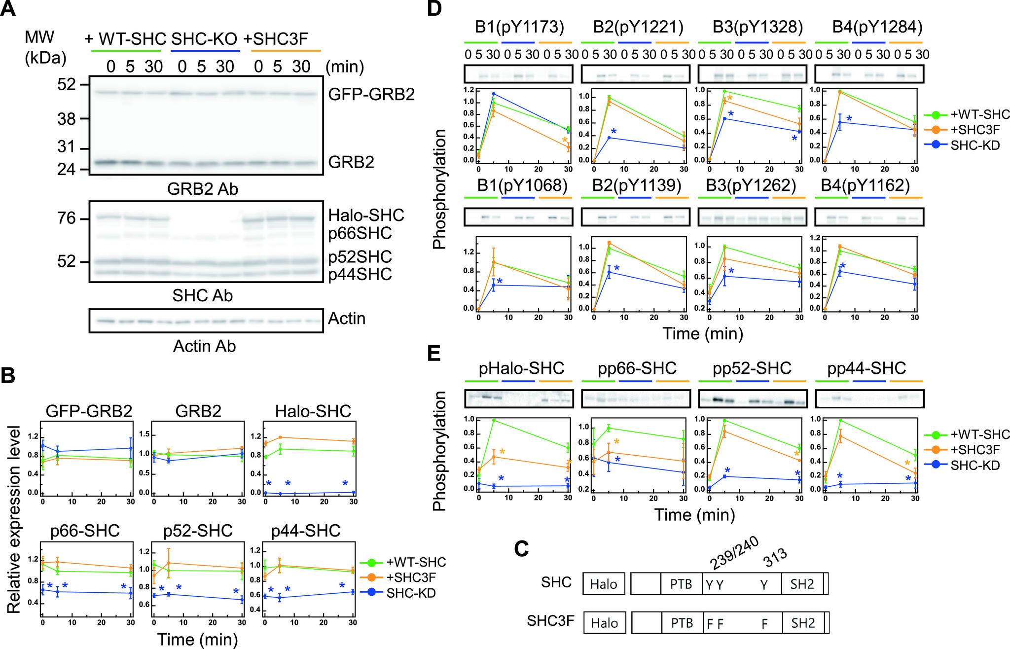https://cdn.ncbi.nlm.nih.gov/pmc/blobs/4295/7902154/c2561855e55e/18_001-g001.jpg
