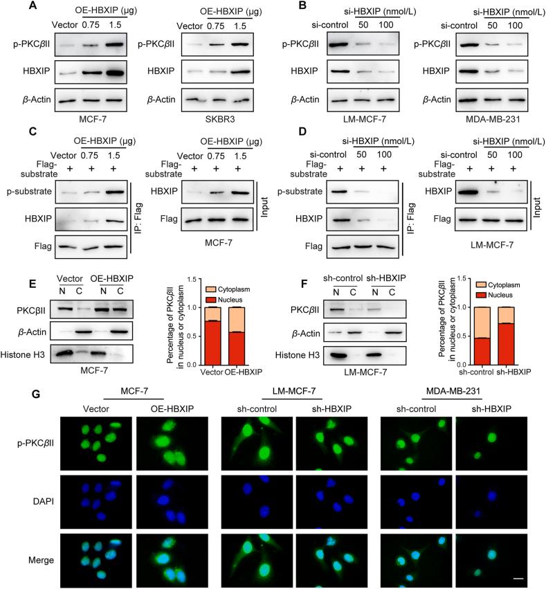 https://cdn.ncbi.nlm.nih.gov/pmc/blobs/4299/10031283/1b4cd8c669f8/gr5.jpg
