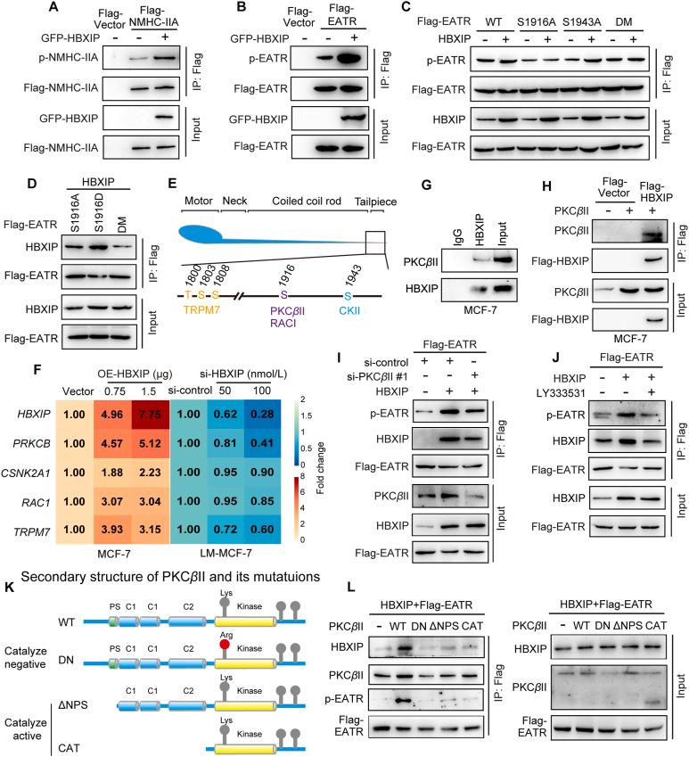 https://cdn.ncbi.nlm.nih.gov/pmc/blobs/4299/10031283/2b9a1a9c8d32/gr3.jpg