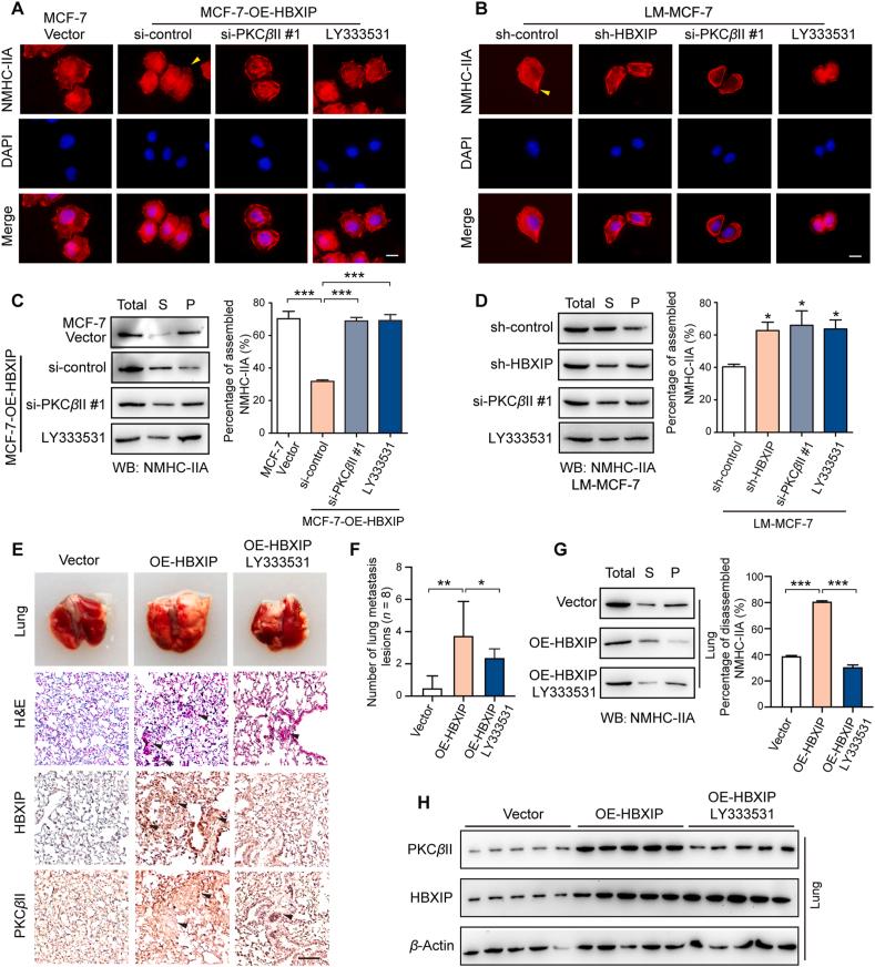 https://cdn.ncbi.nlm.nih.gov/pmc/blobs/4299/10031283/4ca4b7c806d4/gr6.jpg