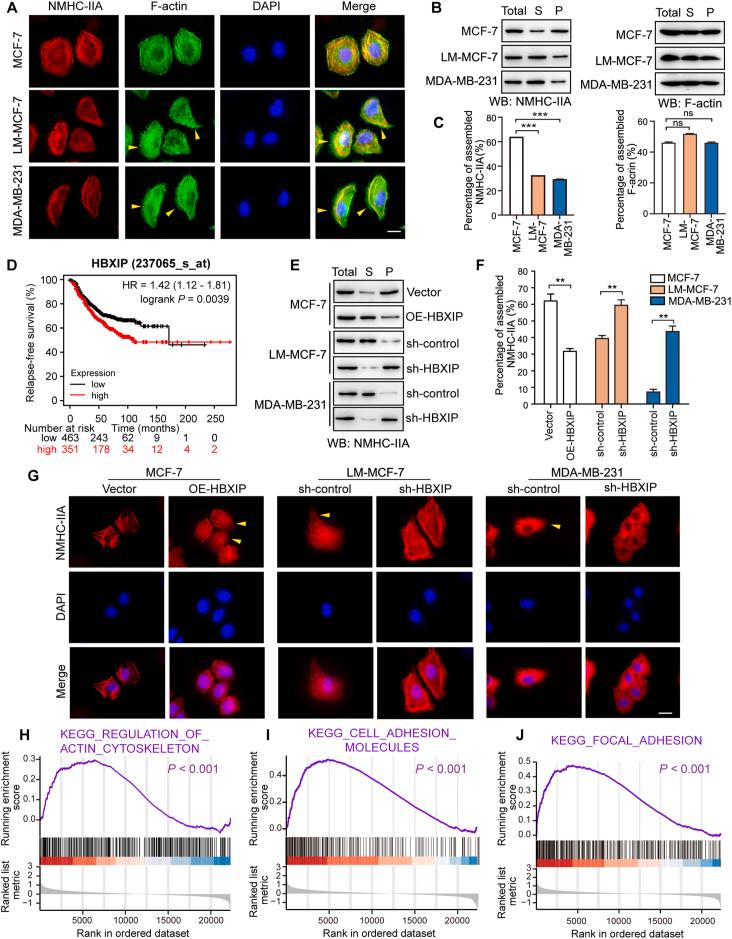 https://cdn.ncbi.nlm.nih.gov/pmc/blobs/4299/10031283/954ab143d737/gr1.jpg