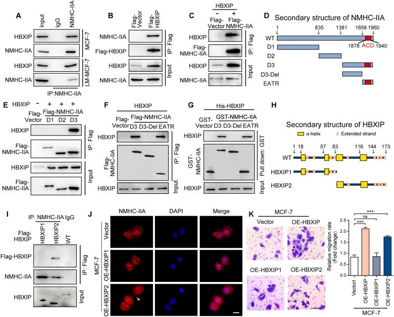 https://cdn.ncbi.nlm.nih.gov/pmc/blobs/4299/10031283/992c759a036a/gr2.jpg