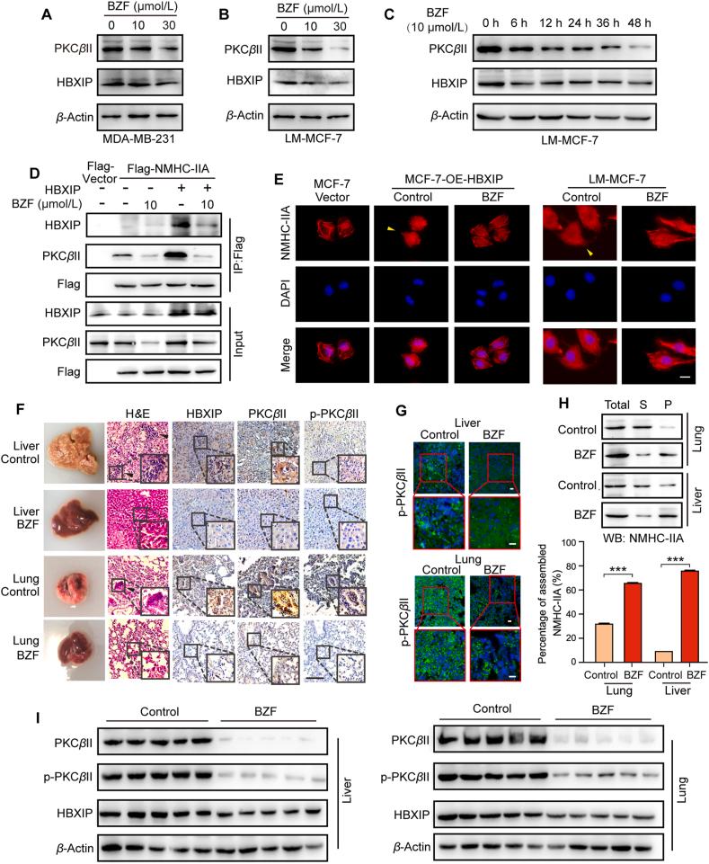 https://cdn.ncbi.nlm.nih.gov/pmc/blobs/4299/10031283/bf5a82c65f8d/gr7.jpg