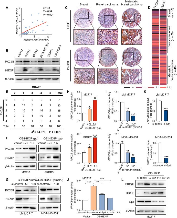 https://cdn.ncbi.nlm.nih.gov/pmc/blobs/4299/10031283/c2f1f2f75da4/gr4.jpg