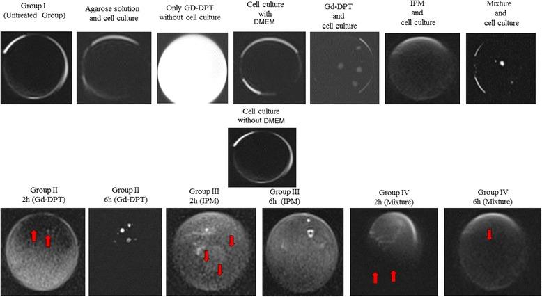 https://cdn.ncbi.nlm.nih.gov/pmc/blobs/4299/5485569/af7150e0eb0f/13018_2017_600_Fig4_HTML.jpg