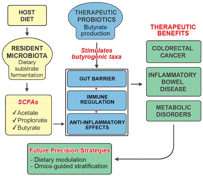 https://cdn.ncbi.nlm.nih.gov/pmc/blobs/429b/12348773/570821cca627/nutrients-17-02501-g002.jpg
