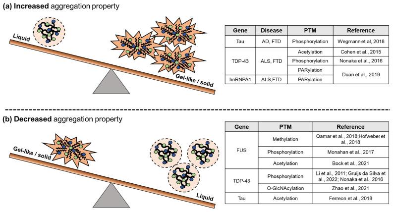 https://cdn.ncbi.nlm.nih.gov/pmc/blobs/429d/9265587/3fc519b623fa/cells-11-02063-g003.jpg