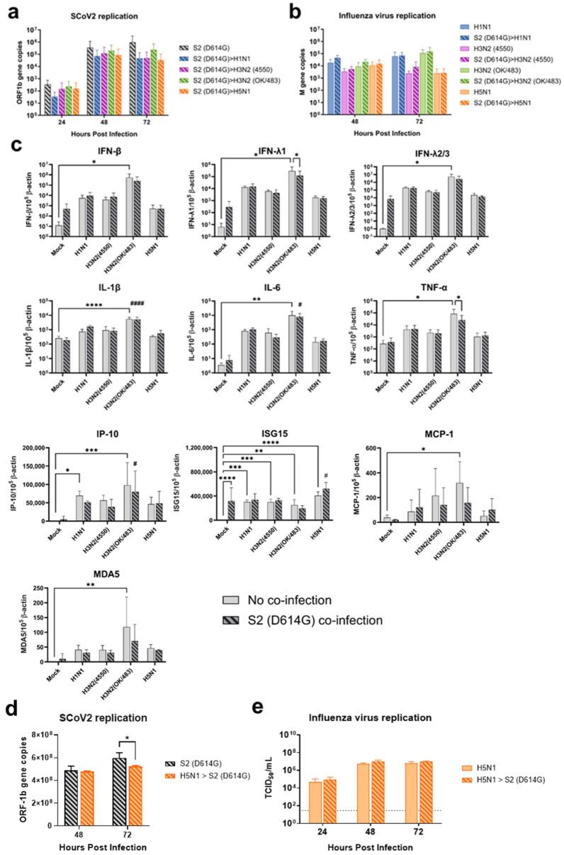 https://cdn.ncbi.nlm.nih.gov/pmc/blobs/429e/12114508/e2ef703b1e27/microorganisms-13-00988-g009.jpg