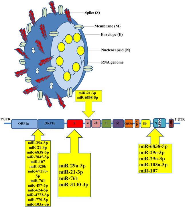 https://cdn.ncbi.nlm.nih.gov/pmc/blobs/429e/8695320/ed1b525c8ad7/ga1_lrg.jpg