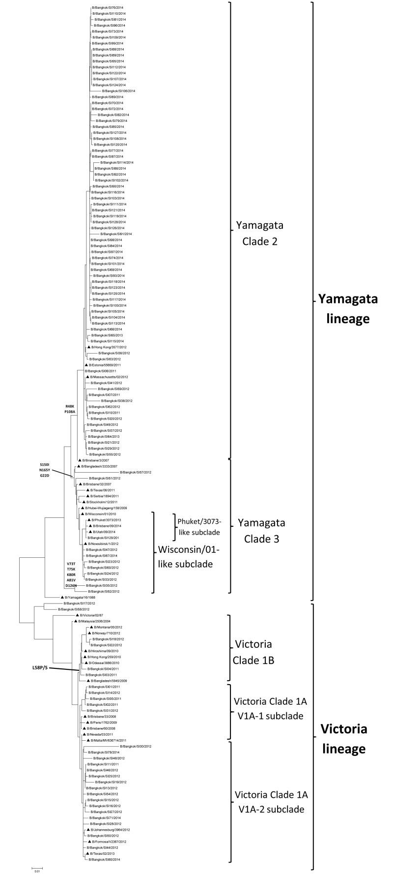 https://cdn.ncbi.nlm.nih.gov/pmc/blobs/42a0/4936745/1821adb193b3/pone.0158244.g002.jpg