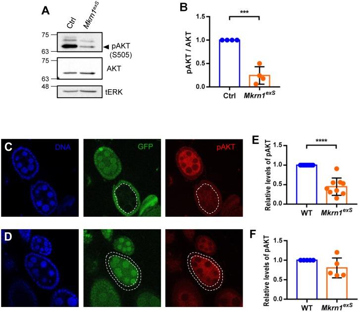 https://cdn.ncbi.nlm.nih.gov/pmc/blobs/42a0/6476528/4c3464f6f2b4/pone.0215688.g004.jpg