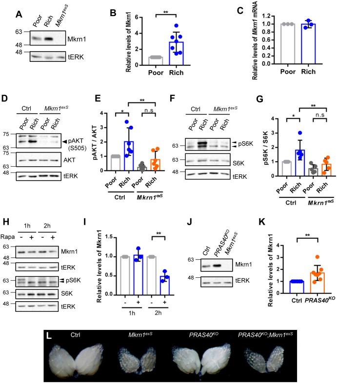 https://cdn.ncbi.nlm.nih.gov/pmc/blobs/42a0/6476528/ed817943be63/pone.0215688.g005.jpg