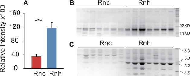 https://cdn.ncbi.nlm.nih.gov/pmc/blobs/42a1/8521721/3fe21d580352/zoaa066f3.jpg