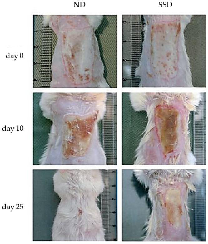 https://cdn.ncbi.nlm.nih.gov/pmc/blobs/42a1/9231279/efb1b6a00e46/pharmaceutics-14-01127-g010.jpg