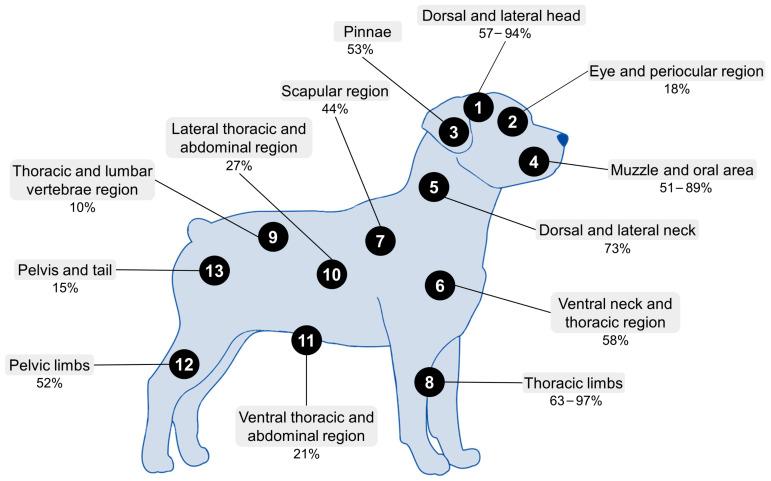 https://cdn.ncbi.nlm.nih.gov/pmc/blobs/42a1/9454875/7b4020972745/animals-12-02257-g004.jpg