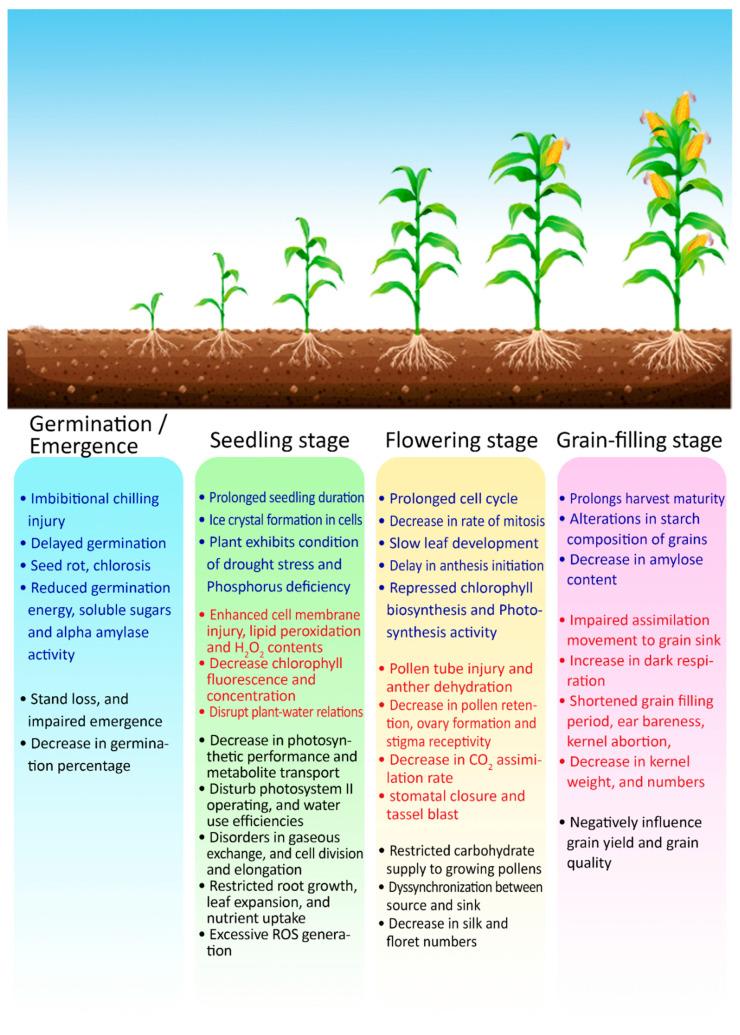 https://cdn.ncbi.nlm.nih.gov/pmc/blobs/42a2/7913793/f6623f7a0342/plants-10-00293-g004.jpg