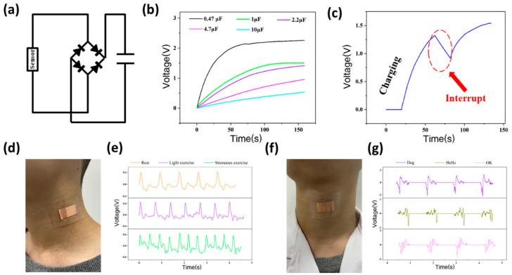 https://cdn.ncbi.nlm.nih.gov/pmc/blobs/42a2/8869770/70bf0942bbce/biosensors-12-00060-g003.jpg
