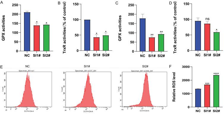 https://cdn.ncbi.nlm.nih.gov/pmc/blobs/42a4/10861822/4405e3e36d76/jcav15p1287g004.jpg