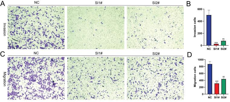 https://cdn.ncbi.nlm.nih.gov/pmc/blobs/42a4/10861822/459737684368/jcav15p1287g003.jpg