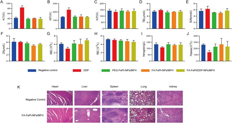 https://cdn.ncbi.nlm.nih.gov/pmc/blobs/42a4/11162642/35392503d7f9/IJN-19-5227-g0008.jpg