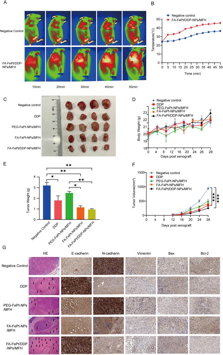 https://cdn.ncbi.nlm.nih.gov/pmc/blobs/42a4/11162642/a314f53f6f80/IJN-19-5227-g0007.jpg