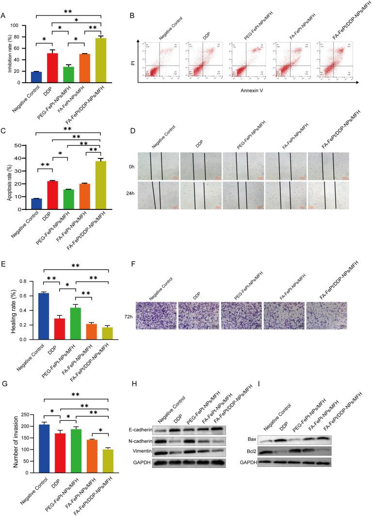 https://cdn.ncbi.nlm.nih.gov/pmc/blobs/42a4/11162642/a818e37bb3cb/IJN-19-5227-g0006.jpg