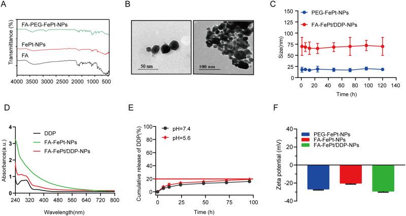 https://cdn.ncbi.nlm.nih.gov/pmc/blobs/42a4/11162642/c21ece6c70ab/IJN-19-5227-g0003.jpg