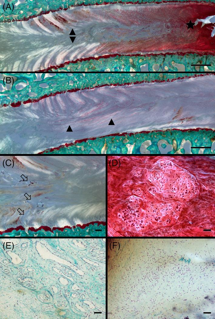 https://cdn.ncbi.nlm.nih.gov/pmc/blobs/42a4/9238284/333af56a2fc7/JSP2-5-e1198-g004.jpg