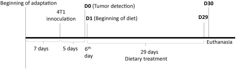 https://cdn.ncbi.nlm.nih.gov/pmc/blobs/42a4/9836315/f4222c6e2317/pone.0278088.g001.jpg