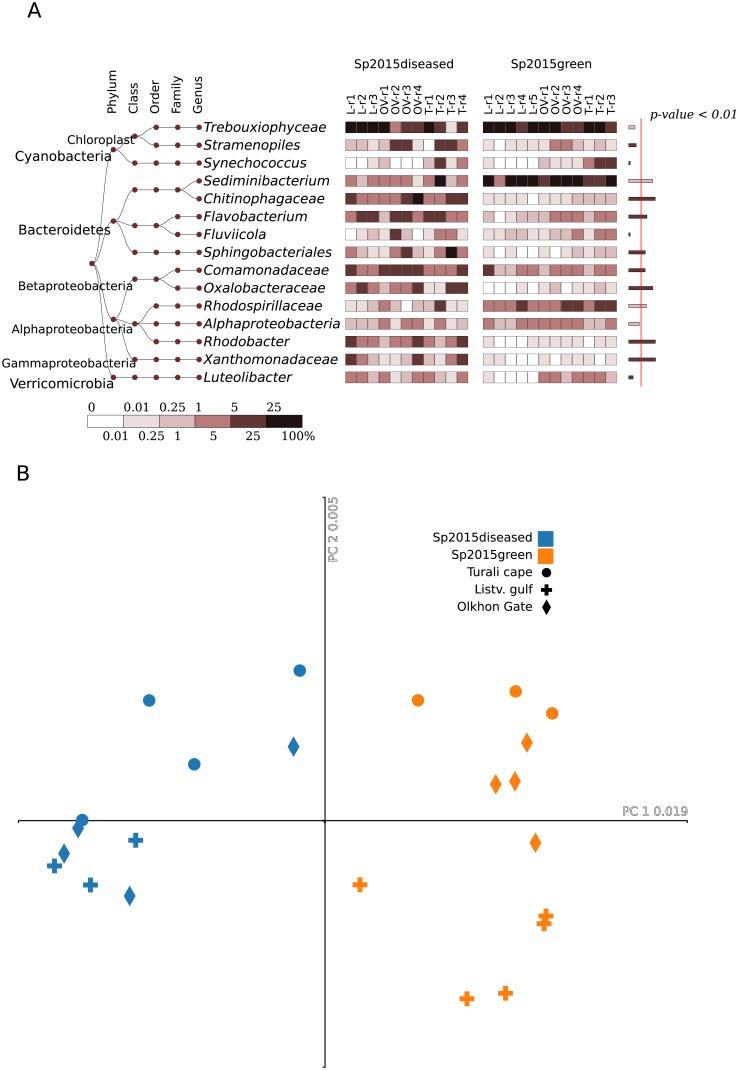 https://cdn.ncbi.nlm.nih.gov/pmc/blobs/42a5/6438488/3307c6b68e7a/pone.0213926.g004.jpg