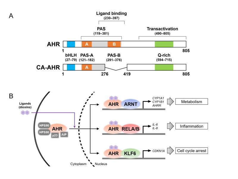 https://cdn.ncbi.nlm.nih.gov/pmc/blobs/42a8/12299969/751844741908/toxics-13-00596-g002.jpg