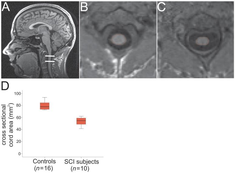 https://cdn.ncbi.nlm.nih.gov/pmc/blobs/42a9/3102242/9398a2c9f086/awr093f1.jpg
