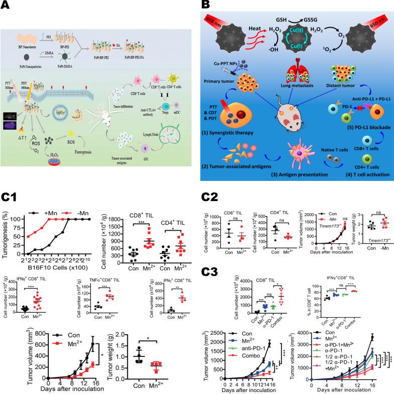 https://cdn.ncbi.nlm.nih.gov/pmc/blobs/42a9/8520258/45cdda176710/12951_2021_1074_Fig12_HTML.jpg