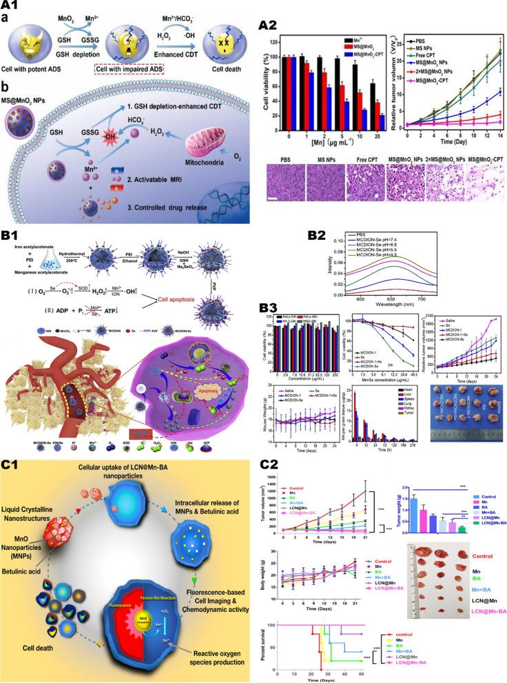 https://cdn.ncbi.nlm.nih.gov/pmc/blobs/42a9/8520258/ac27d3df8ab8/12951_2021_1074_Fig3_HTML.jpg