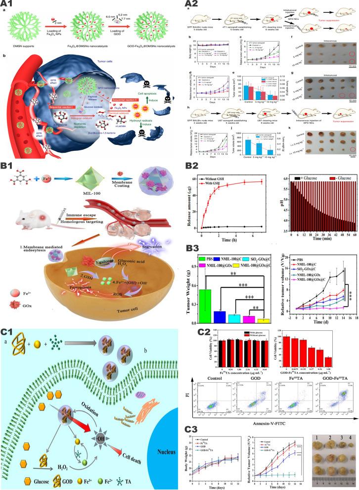 https://cdn.ncbi.nlm.nih.gov/pmc/blobs/42a9/8520258/b6e261c1db57/12951_2021_1074_Fig6_HTML.jpg
