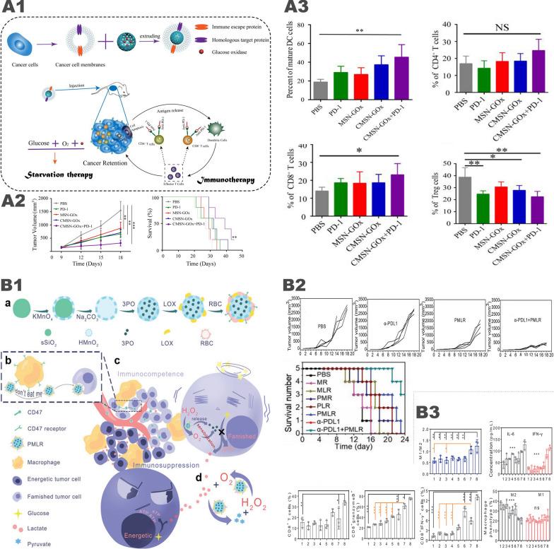 https://cdn.ncbi.nlm.nih.gov/pmc/blobs/42a9/8520258/e93787d62680/12951_2021_1074_Fig13_HTML.jpg