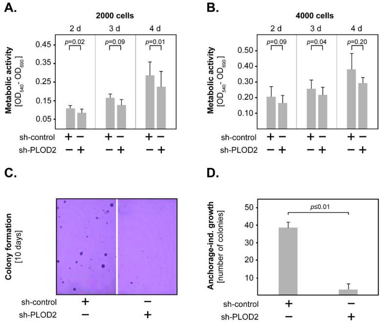 https://cdn.ncbi.nlm.nih.gov/pmc/blobs/42a9/9181500/6bb37f056c1e/ijms-23-06037-g004.jpg