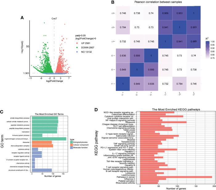 https://cdn.ncbi.nlm.nih.gov/pmc/blobs/42a9/9237437/b1ff92ba3bd2/fcimb-12-827750-g006.jpg