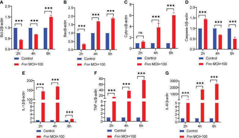 https://cdn.ncbi.nlm.nih.gov/pmc/blobs/42a9/9237437/e35798e7d9e6/fcimb-12-827750-g007.jpg