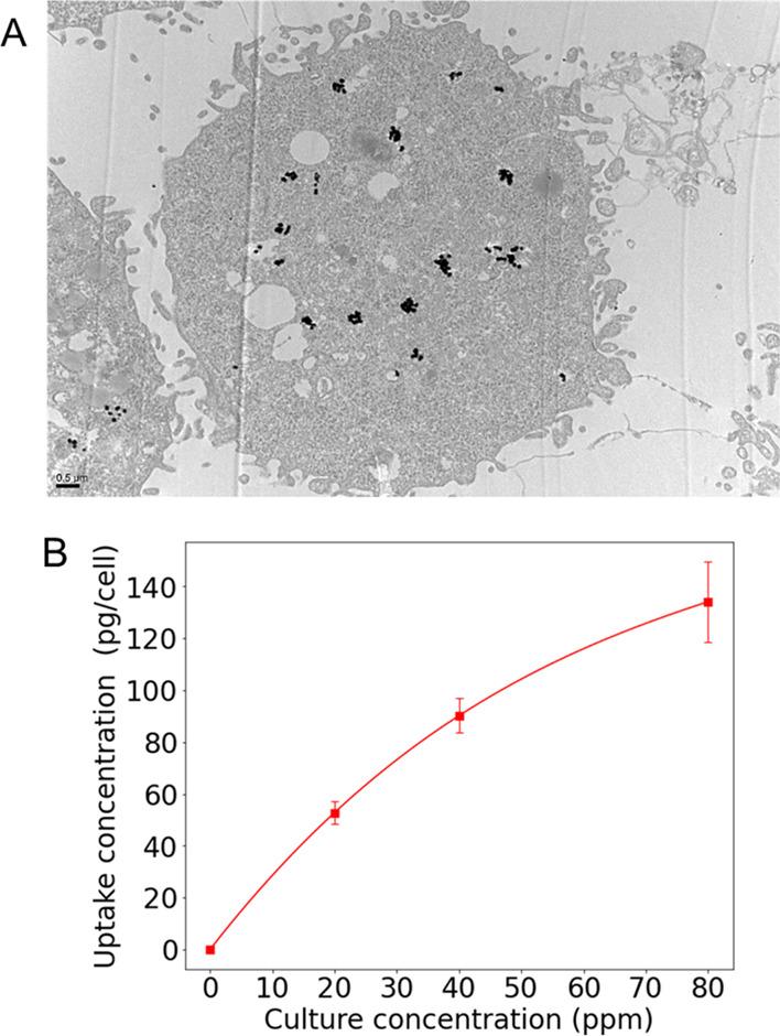 https://cdn.ncbi.nlm.nih.gov/pmc/blobs/42ae/10210040/4fe4a1dfcdb2/ao3c01025_0006.jpg