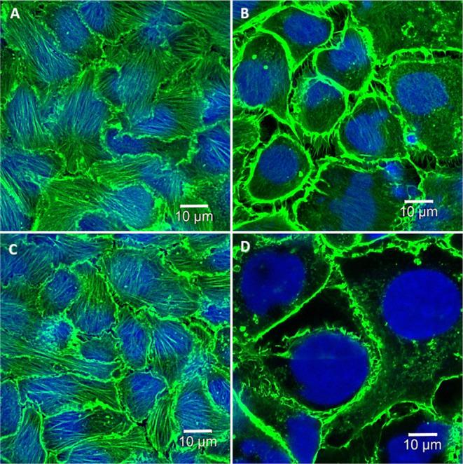 https://cdn.ncbi.nlm.nih.gov/pmc/blobs/42ae/10210040/c0ca676ecb33/ao3c01025_0011.jpg
