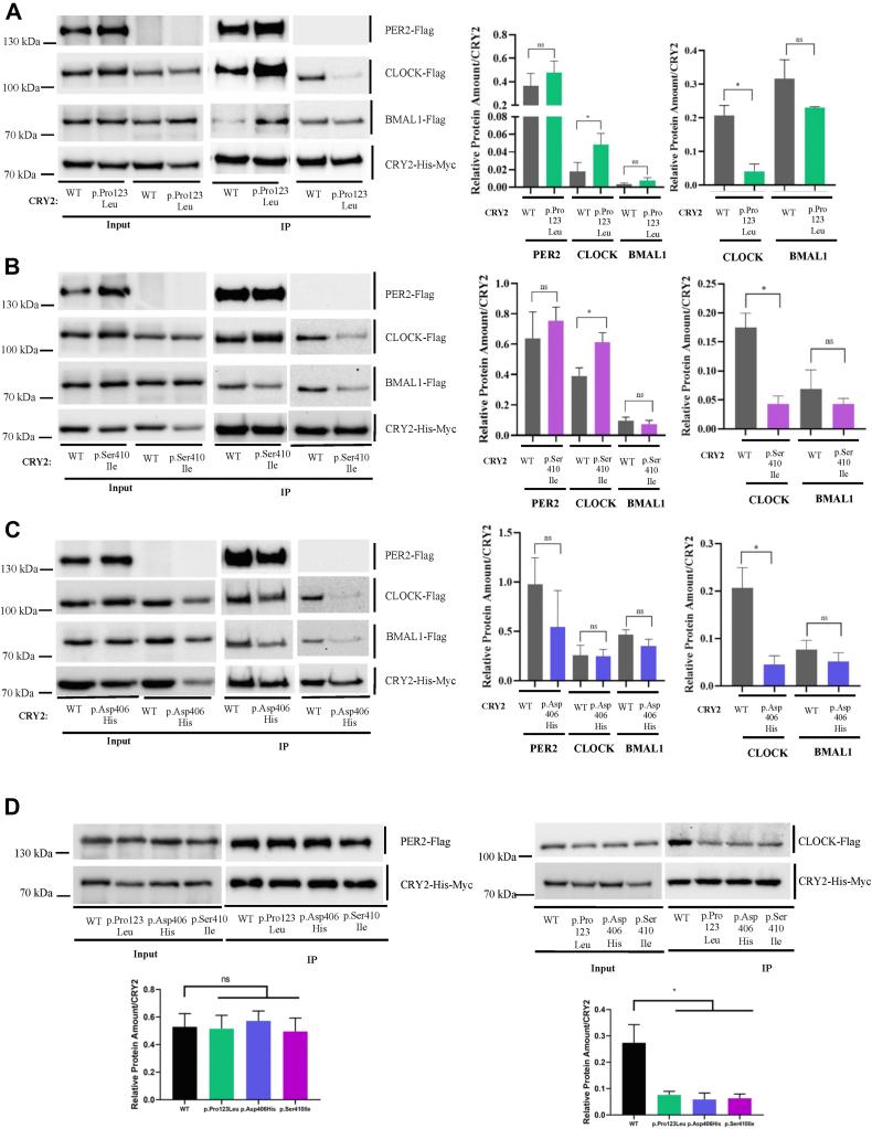 https://cdn.ncbi.nlm.nih.gov/pmc/blobs/42ae/9442382/74ecbc140880/gr3.jpg