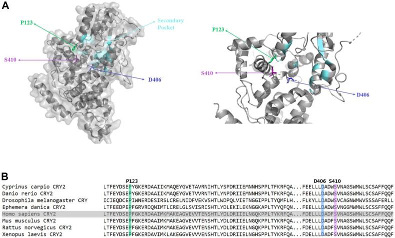 https://cdn.ncbi.nlm.nih.gov/pmc/blobs/42ae/9442382/ccb9cec54168/gr1.jpg