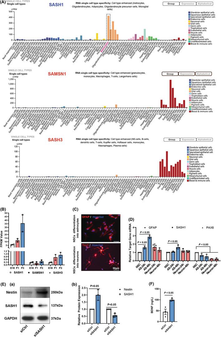 https://cdn.ncbi.nlm.nih.gov/pmc/blobs/42ae/9804067/727b5db17b2f/CNS-29-228-g002.jpg