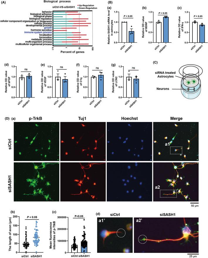 https://cdn.ncbi.nlm.nih.gov/pmc/blobs/42ae/9804067/fa3f04beac34/CNS-29-228-g003.jpg