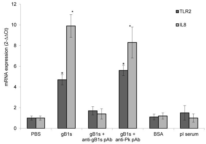 https://cdn.ncbi.nlm.nih.gov/pmc/blobs/42b1/6783931/cf51ef89bec3/viruses-11-00819-g003.jpg