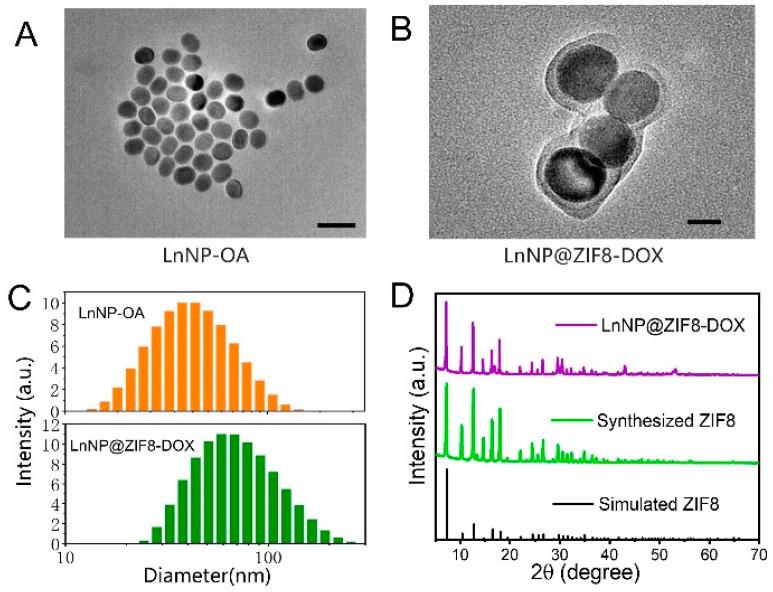 https://cdn.ncbi.nlm.nih.gov/pmc/blobs/42b1/9782036/1df2f69322c4/nanomaterials-12-04478-g002.jpg