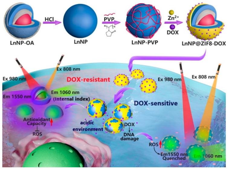https://cdn.ncbi.nlm.nih.gov/pmc/blobs/42b1/9782036/2de7e30dc1aa/nanomaterials-12-04478-g001.jpg