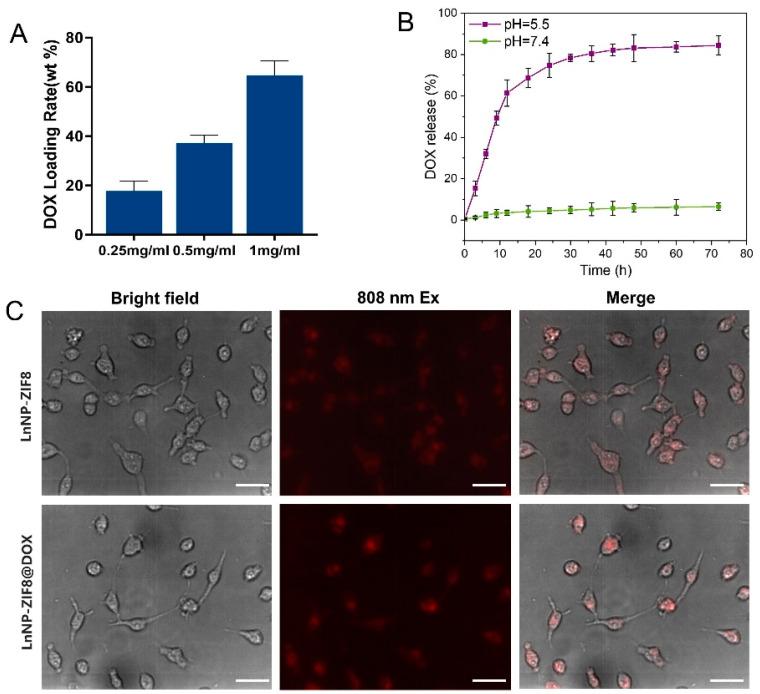 https://cdn.ncbi.nlm.nih.gov/pmc/blobs/42b1/9782036/40274b7e32fb/nanomaterials-12-04478-g004.jpg